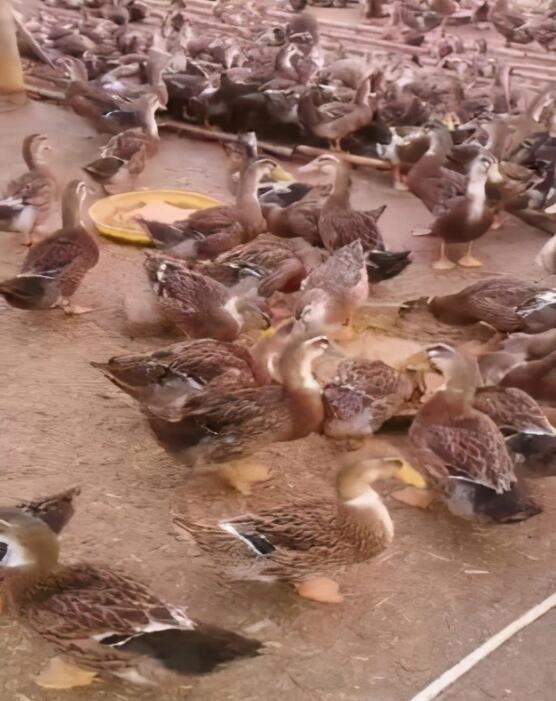 QQ圖片20250523091157.jpg QQ圖片20250523091157.jpg