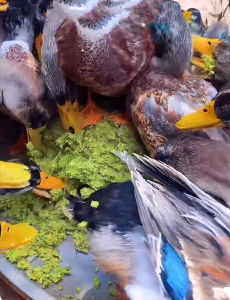 QQ圖片20250523091317.jpg QQ圖片20250523091317.jpg