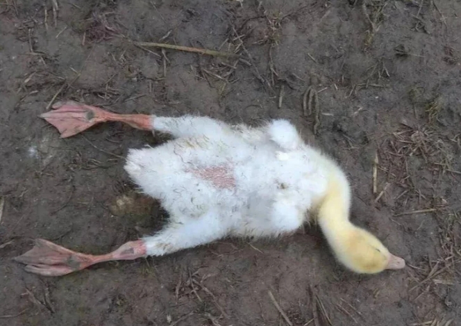 微信截圖_20250529092757.jpg 微信截圖_20250529092757.jpg