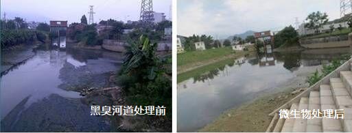 黑臭河溝治理前后1.jpg 黑臭河溝治理前后1.jpg