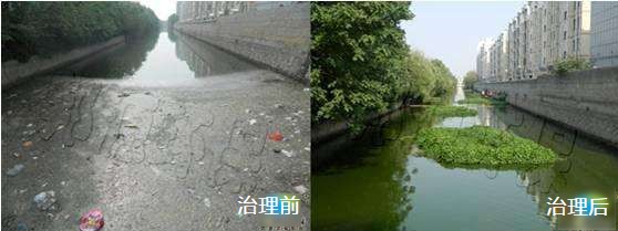 黑臭河溝治理前后3.jpg 黑臭河溝治理前后3.jpg