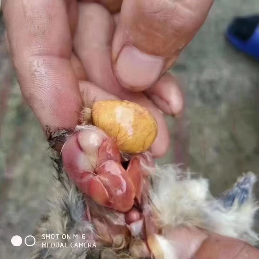 微信圖片_20250603091630.jpg 微信圖片_20250603091630.jpg