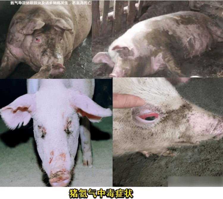 微信截圖_20250604091315.jpg 微信截圖_20250604091315.jpg