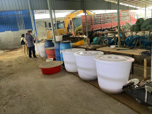 青儲牧草養羊4.png 青儲牧草養羊4.png