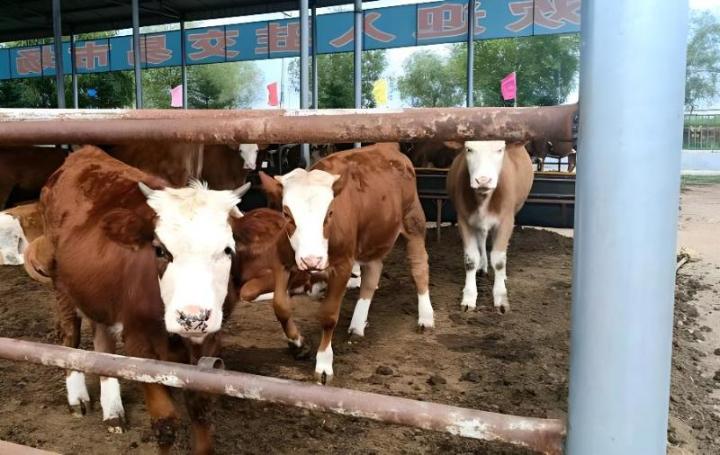 1671103459129306.jpg 1671103459129306.jpg