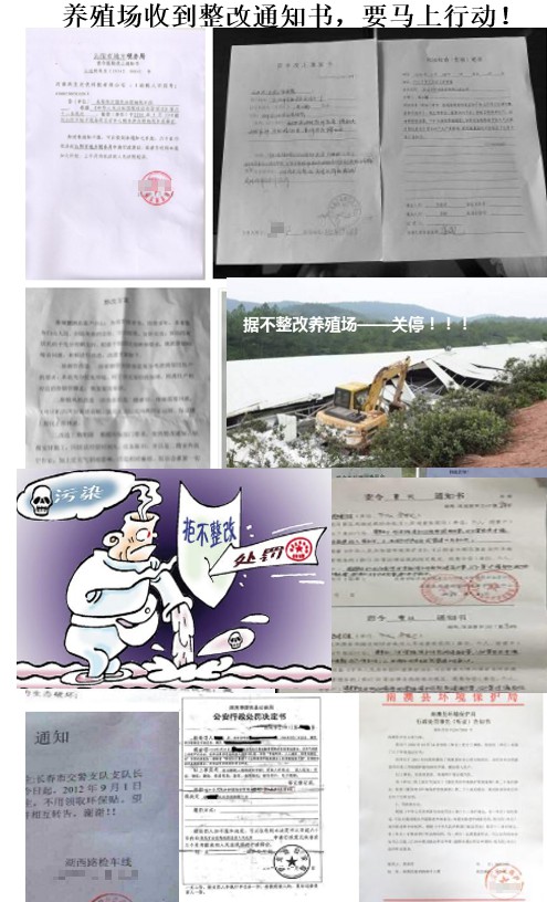 養殖場收到環保整改通知書.jpg 養殖場收到環保整改通知書.jpg