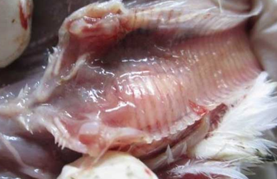 30F9961DA8D98167AE452624CB2AA549.png 30F9961DA8D98167AE452624CB2AA549.png