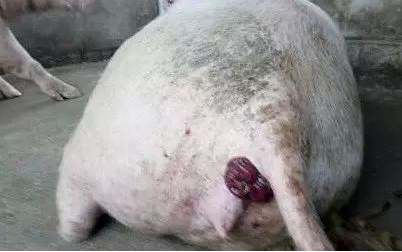 QQ圖片20250611103630.png QQ圖片20250611103630.png