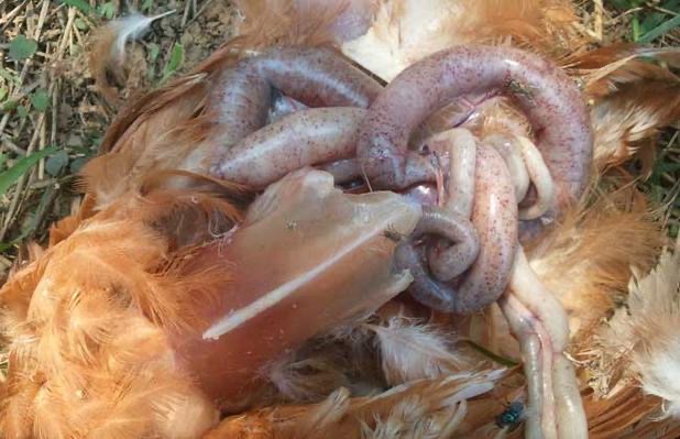 微信圖片_20250617090522.jpg 微信圖片_20250617090522.jpg