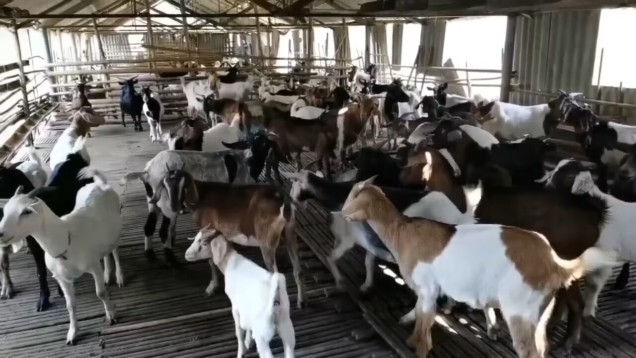 QQ圖片20230318141312.jpg QQ圖片20230318141312.jpg