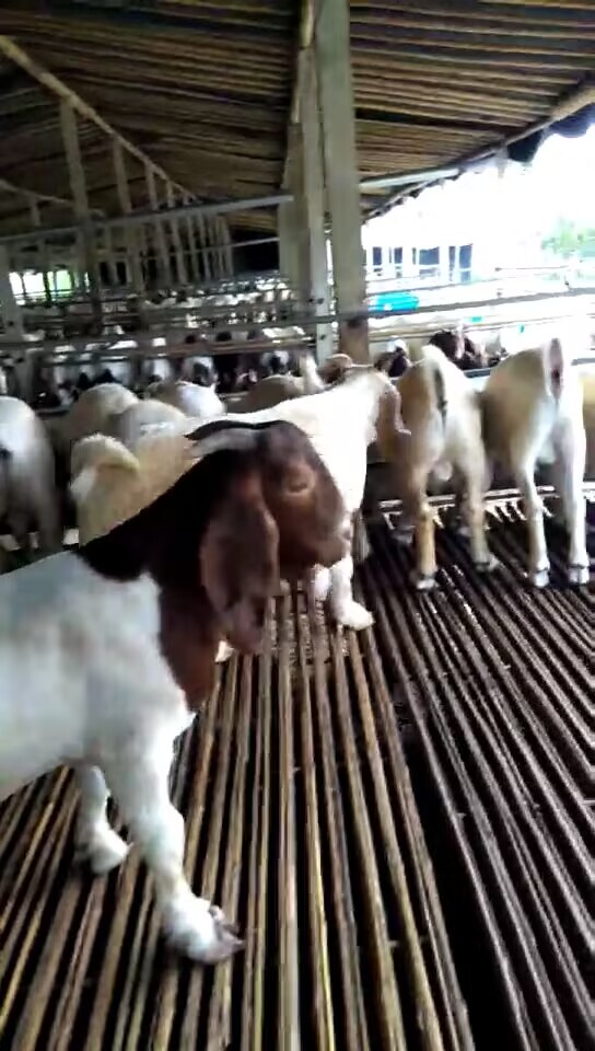 QQ圖片20230506121135.jpg QQ圖片20230506121135.jpg