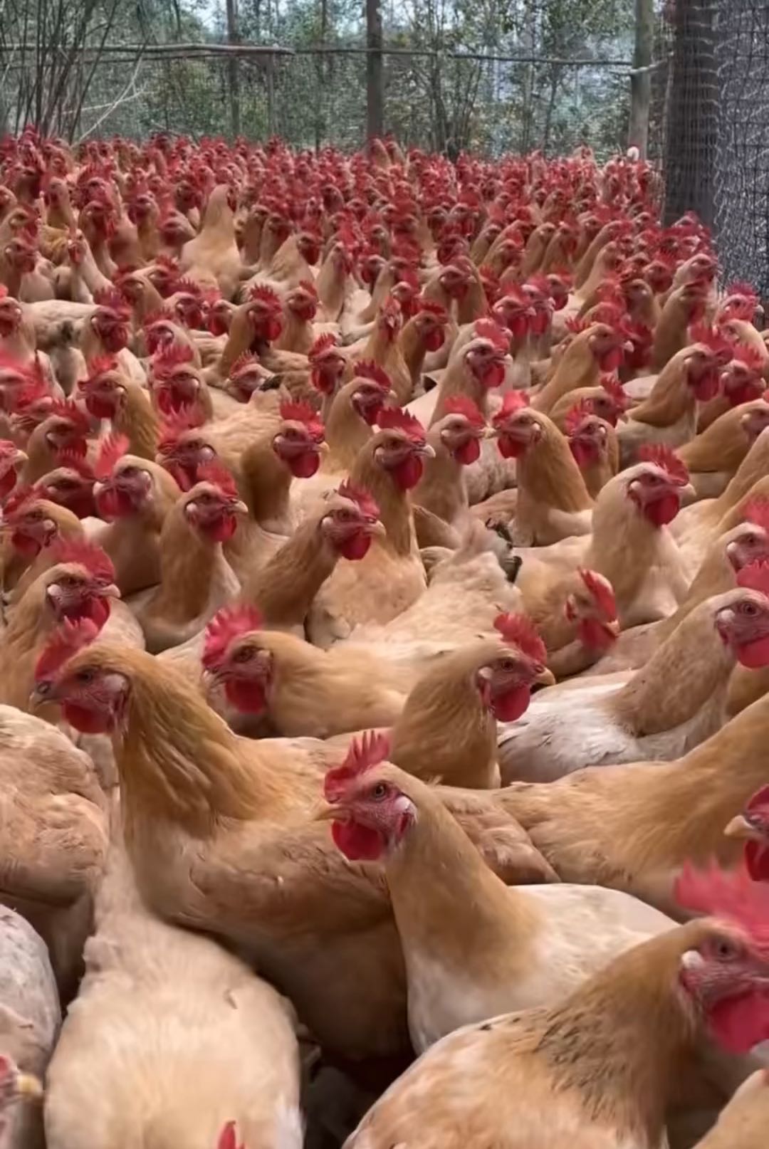 微信圖片_20250623102928.jpg 微信圖片_20250623102928.jpg