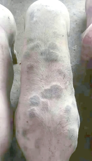 微信截圖_20250625091437.jpg 微信截圖_20250625091437.jpg