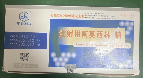 微信截圖_20250625091532.jpg 微信截圖_20250625091532.jpg