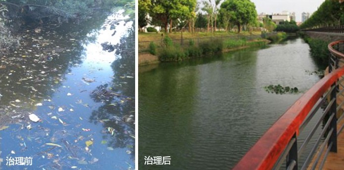 黑臭河溝治理前后4.jpg 黑臭河溝治理前后4.jpg