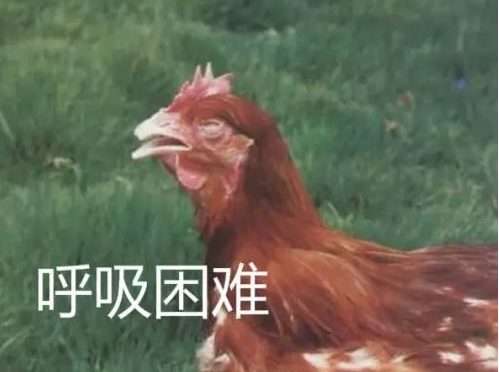 QQ圖片20250630094016.png QQ圖片20250630094016.png