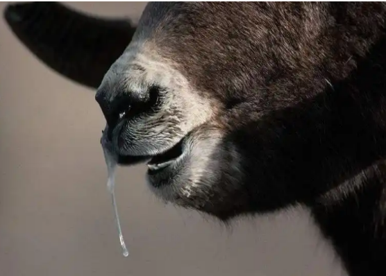 QQ圖片20250701094200.png QQ圖片20250701094200.png