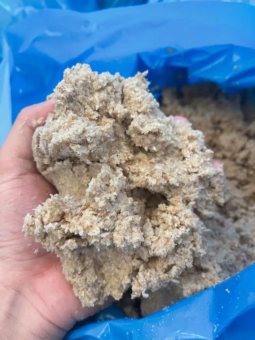 QQ圖片20250507131736.jpg QQ圖片20250507131736.jpg