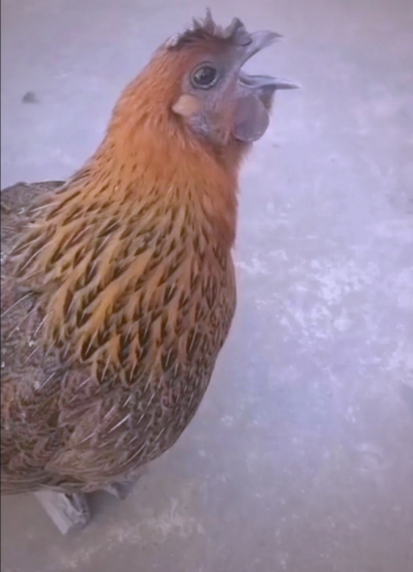 微信截圖_20250703092705.jpg 微信截圖_20250703092705.jpg