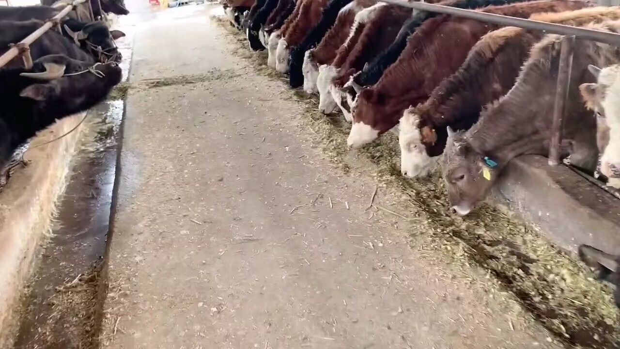 QQ圖片20230318131712.jpg【3】.jpg QQ圖片20230318131712.jpg【3】.jpg