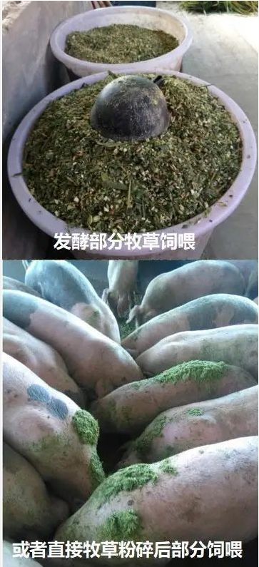 QQ圖片20250529123228.jpg QQ圖片20250529123228.jpg