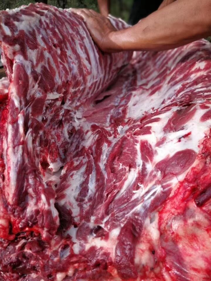 QQ圖片20230105153954.jpg QQ圖片20230105153954.jpg