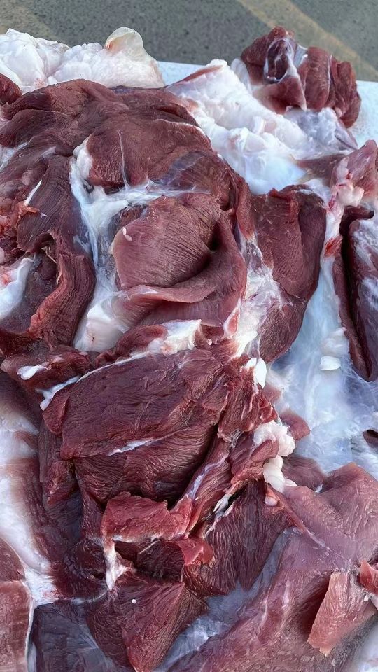 QQ圖片20230107101049.jpg QQ圖片20230107101049.jpg