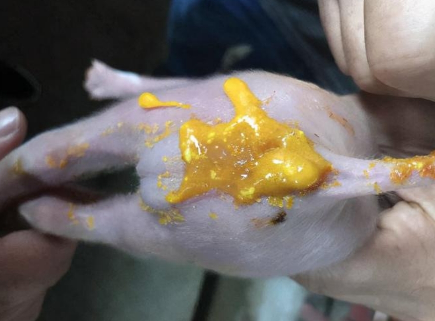 微信截圖_20250717093911.jpg 微信截圖_20250717093911.jpg