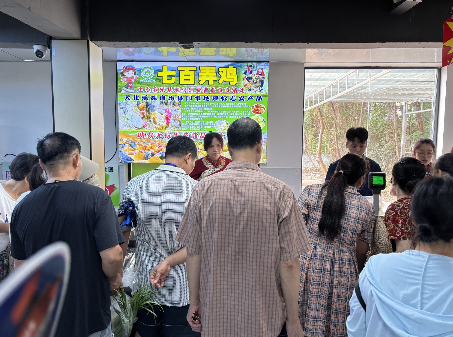 七百弄雞南寧銷售.jpg 七百弄雞南寧銷售.jpg