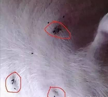 QQ圖片20250724092706.png QQ圖片20250724092706.png