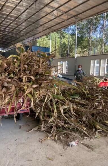 QQ圖片20250725095917.jpg QQ圖片20250725095917.jpg