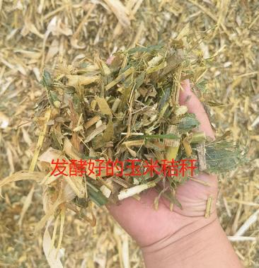 QQ圖片20250725100924.jpg QQ圖片20250725100924.jpg