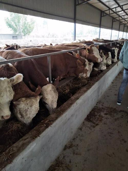 1717119340808352.jpg 1717119340808352.jpg