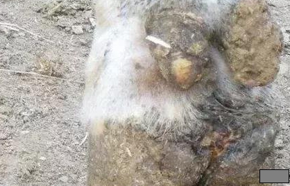 9dab61fa-667e-4db3-8d3f-6aff11a44b6f_1753409677287973213_origin~tplv-a9rns2rl98-image-qvalue.jpeg 9dab61fa-667e-4db3-8d3f-6aff11a44b6f_1753409677287973213_origin~tplv-a9rns2rl98-image-qvalue.jpeg