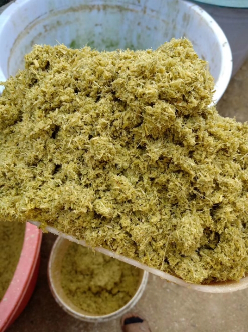 發(fā)酵牧草2.jpg 發(fā)酵牧草2.jpg