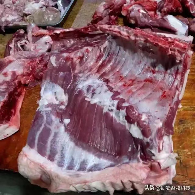 養(yǎng)豬場(chǎng)4.png 養(yǎng)豬場(chǎng)4.png