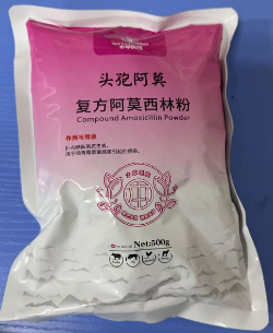 QQ圖片20250730103823.png QQ圖片20250730103823.png