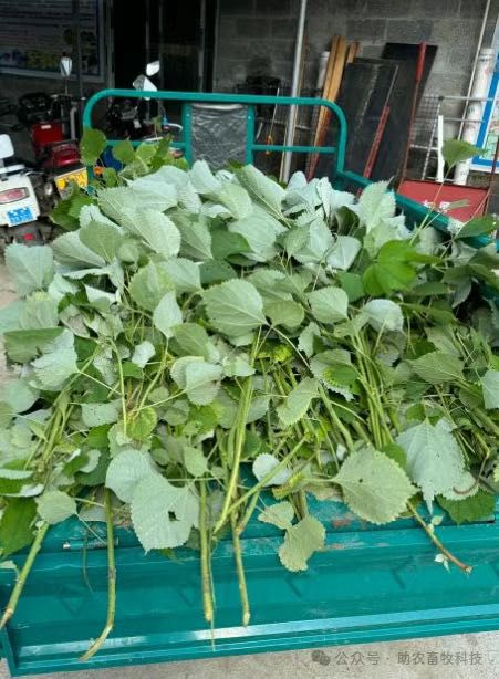 QQ圖片20250422141731.jpg QQ圖片20250422141731.jpg