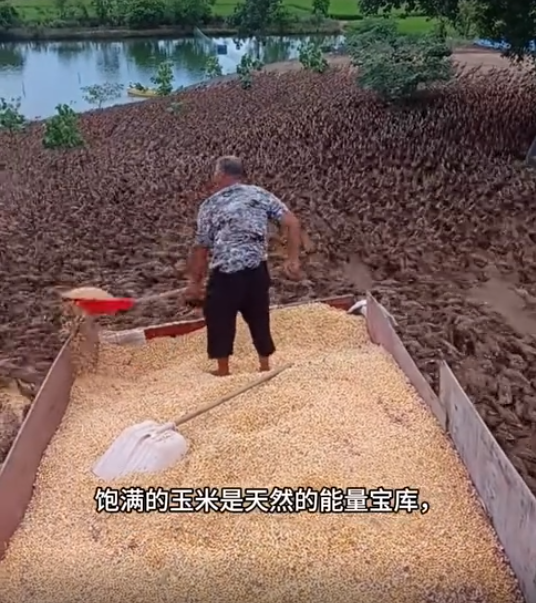 截圖20250805101303.png 截圖20250805101303.png