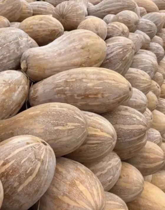 0533801CC444039A0B264AFC8D21DC6E.png 0533801CC444039A0B264AFC8D21DC6E.png