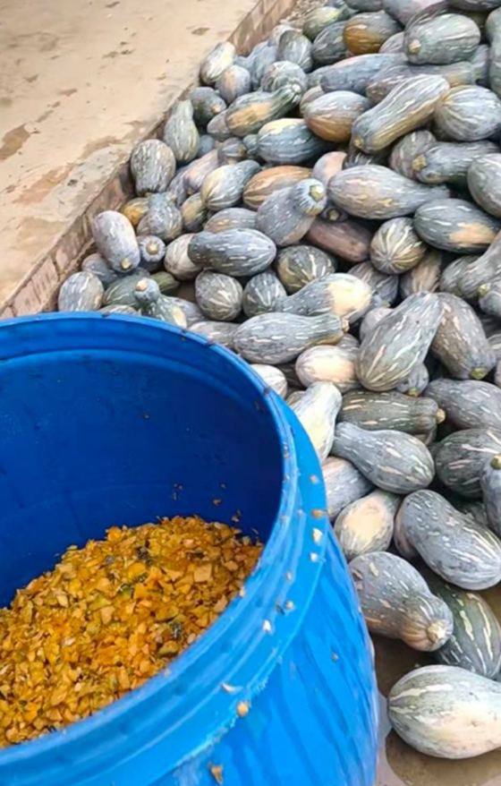 C25CA6C5BE19CEE5174A456FF4F06904.png C25CA6C5BE19CEE5174A456FF4F06904.png