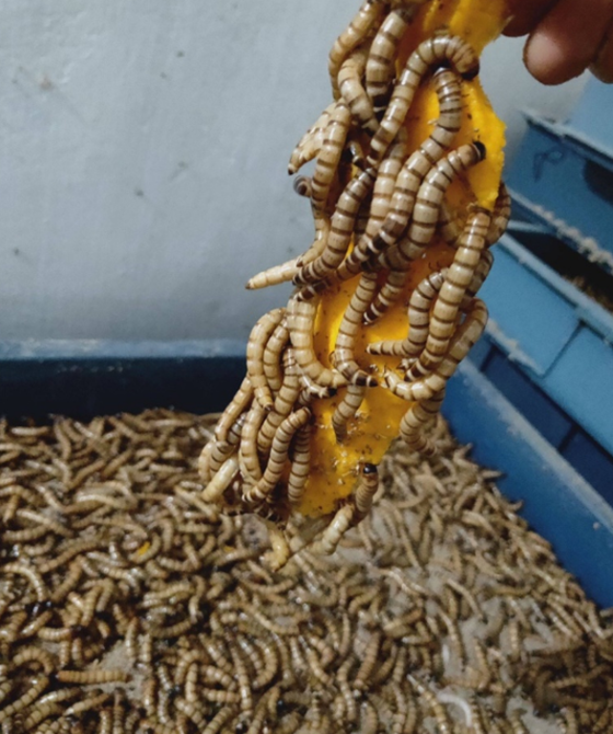 CD41D708BBFA86CB35494EA7A416899E.png CD41D708BBFA86CB35494EA7A416899E.png