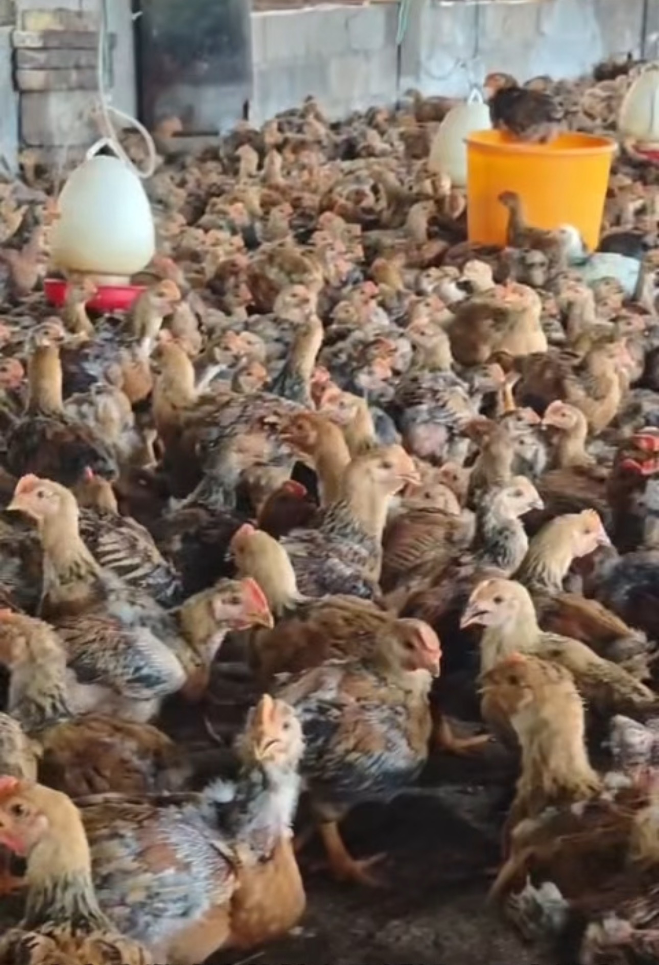 微信圖片_20250806200114.jpg 微信圖片_20250806200114.jpg