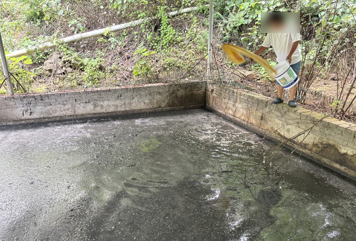 17361279766112180.jpg 17361279766112180.jpg