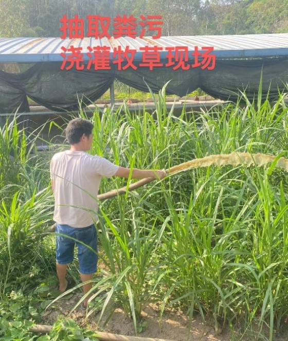 17361280727324659.jpg 17361280727324659.jpg