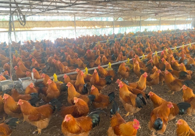 17358710958637800.jpg 17358710958637800.jpg