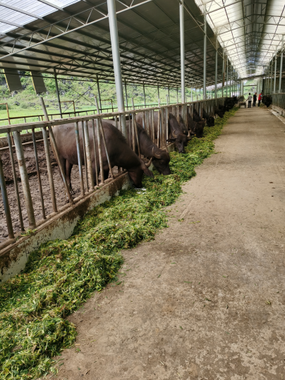 QQ圖片20240113152705.png QQ圖片20240113152705.png