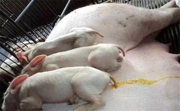 微信圖片_20250818092047.jpg 微信圖片_20250818092047.jpg