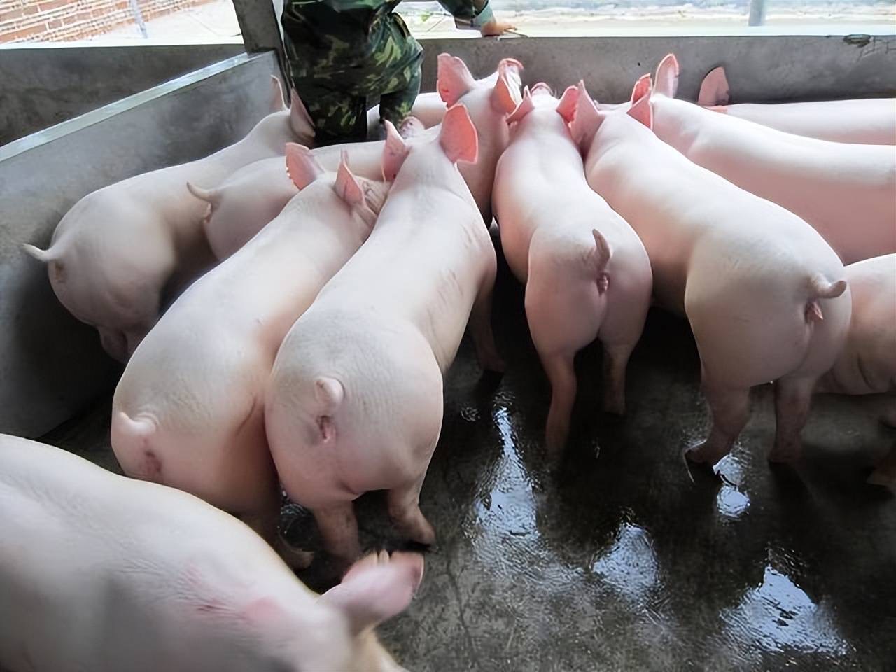 微信圖片_20250819100022.jpg 微信圖片_20250819100022.jpg