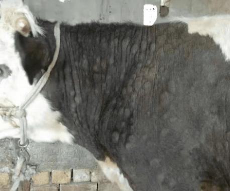 0db6d6ff-22e5-49fd-acf4-016026bd1f9e_1755594139084785535_origin~tplv-a9rns2rl98-image-qvalue.jpeg 0db6d6ff-22e5-49fd-acf4-016026bd1f9e_1755594139084785535_origin~tplv-a9rns2rl98-image-qvalue.jpeg